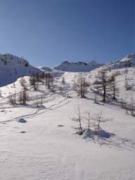 081124_A_siamo in 49.JPG